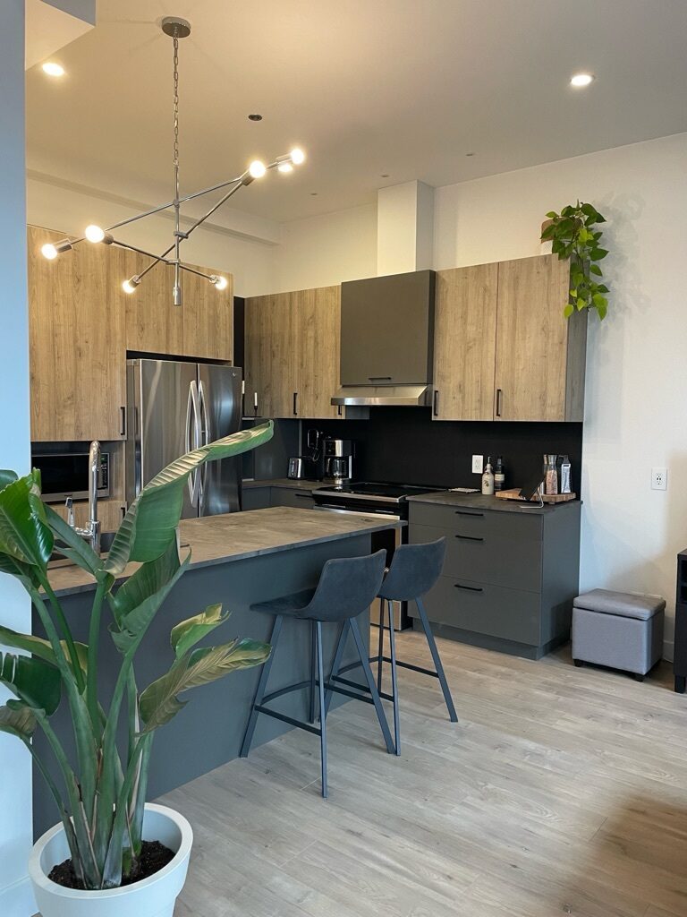 Appartement 205 – 3½ de 475 pi² au CENT90